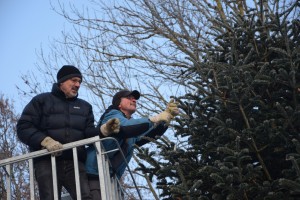 Abräumen des Christbaum am Nikolaiberg am 21.01.2017